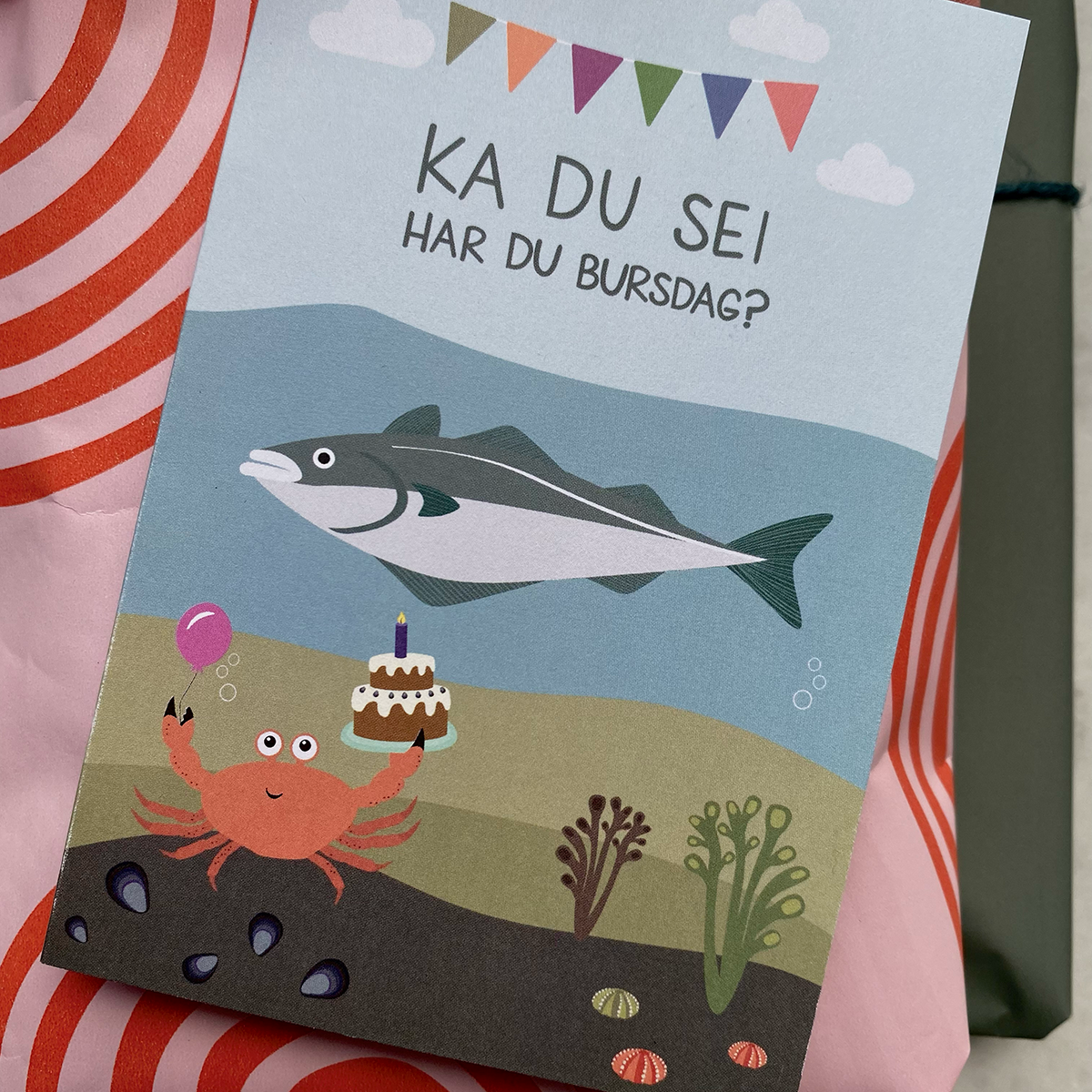 Kort Ka du sei har du bursdag?