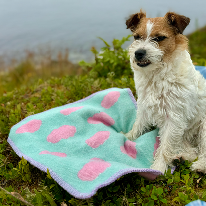 Pastellfarget sitteunderlag i ull i serien Drømmer, som viser den varme kvaliteten med en hund sittende oppå