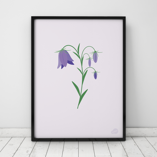 Botanisk plakat med illustrasjon av blåklokke på lys illa bakgrunn, design av Holloi