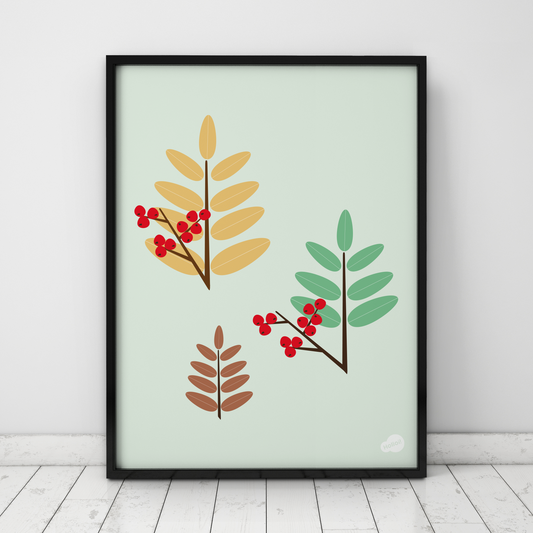 Botanisk plakat med illustrasjon av rognebær, moderne norsk naturkunst fra Holloi