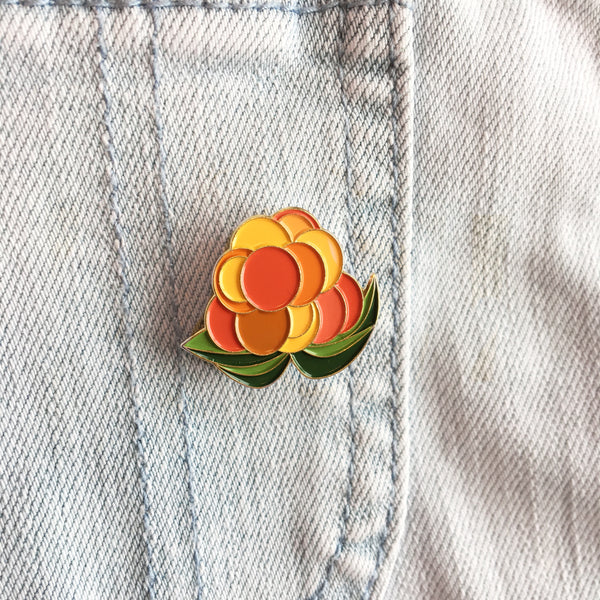 Pin Multe